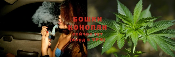 прущие крисы Алзамай
