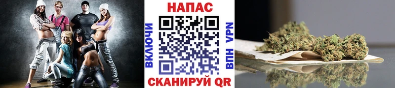 Бошки марихуана тримм KRAKEN зеркало Новая Ладога
